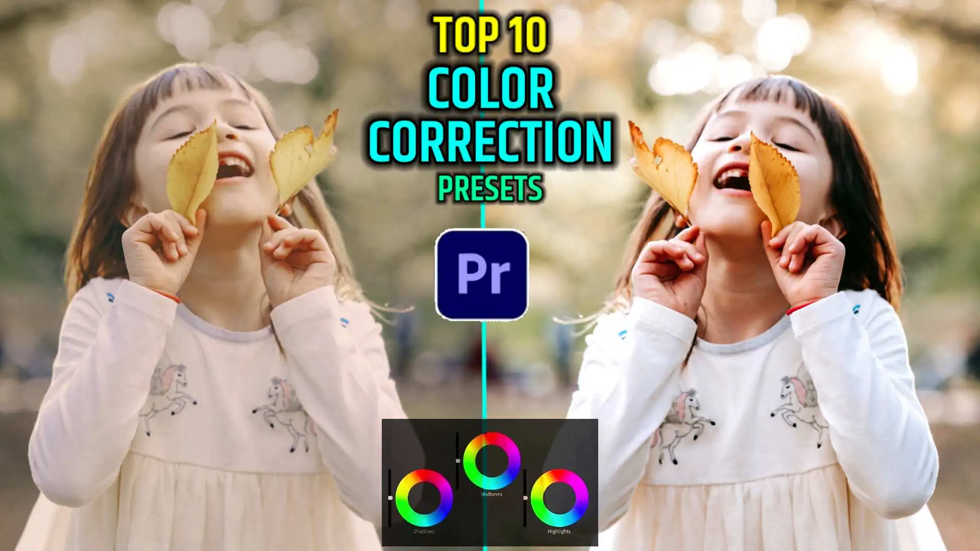 Color Correction Premiere Pro Presets Free Download